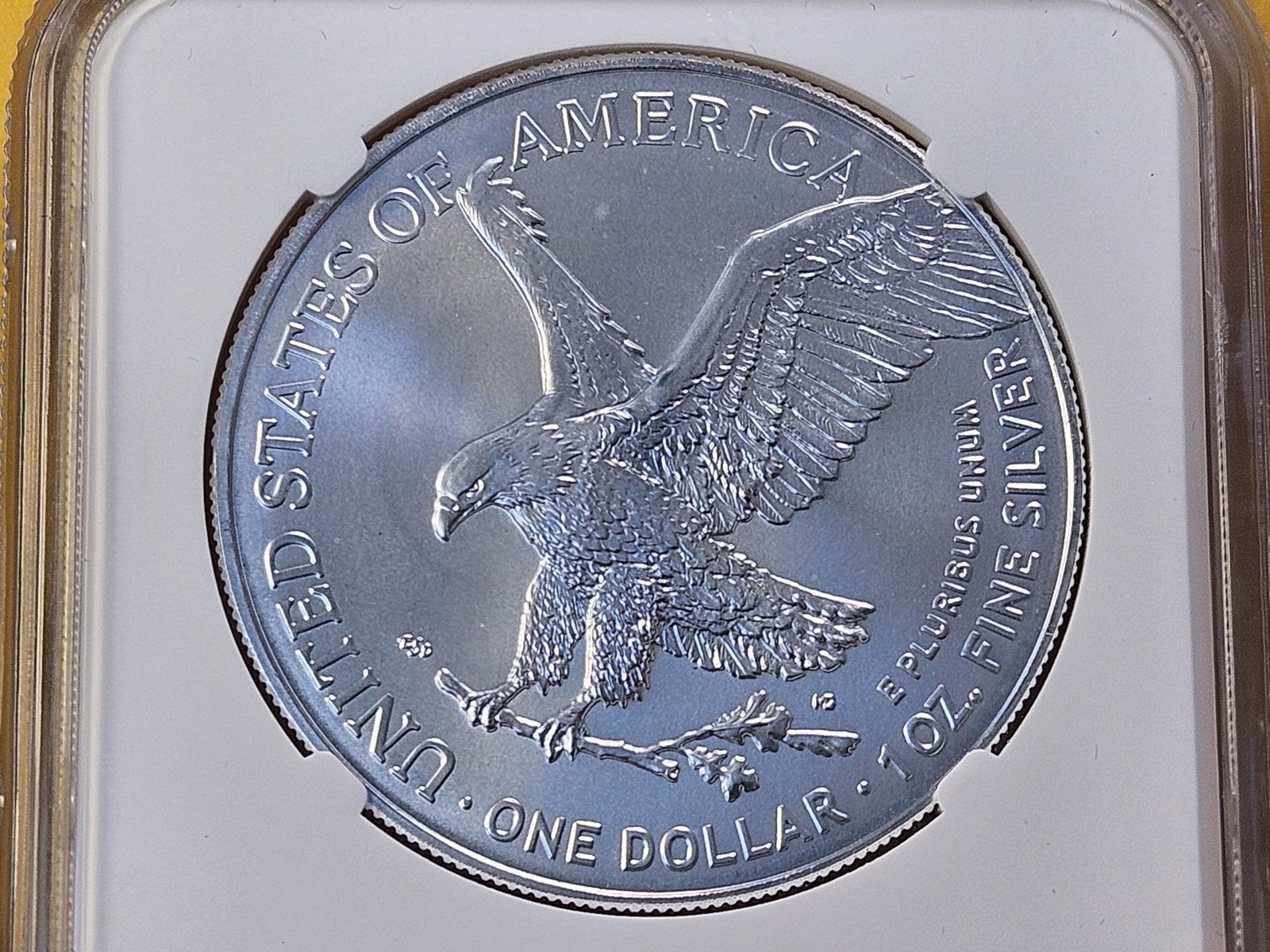NGC 2024 American Silver Eagle in Mint State 69 - 4