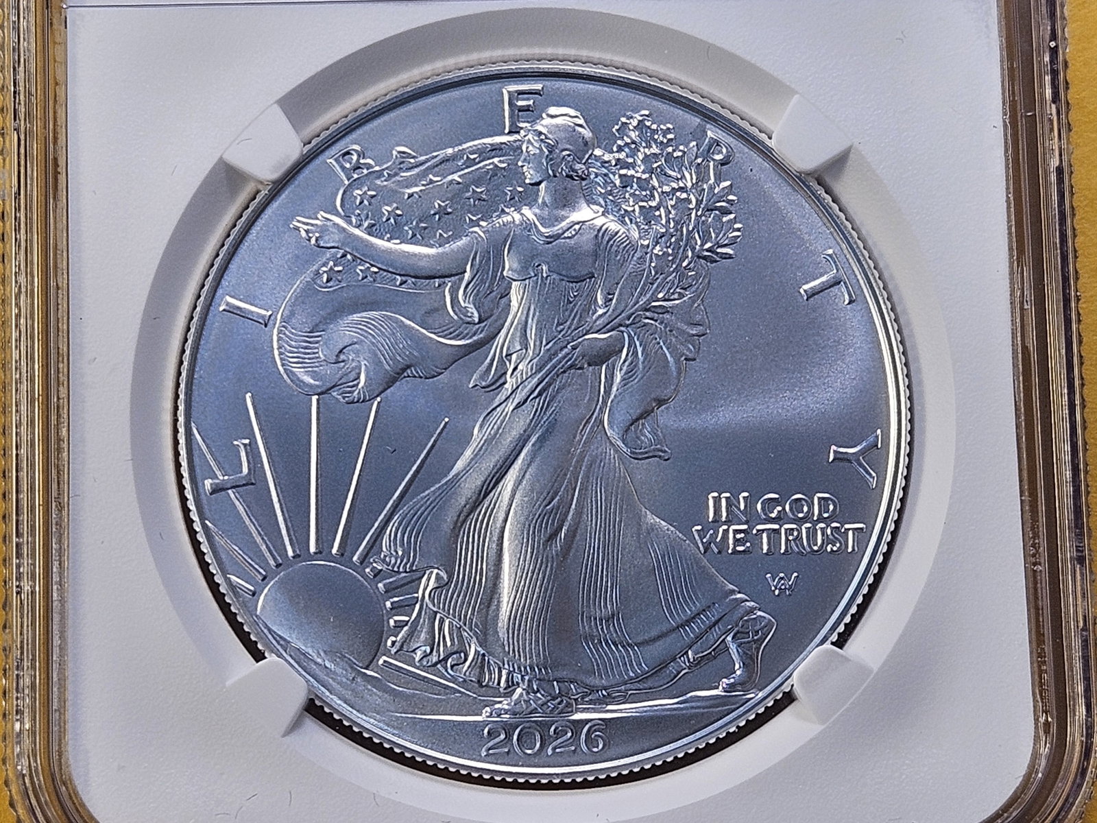 PERFECT! NGC 2026 American Silver Eagle in Mint State 70: Perfect Grade! First Releases Holder