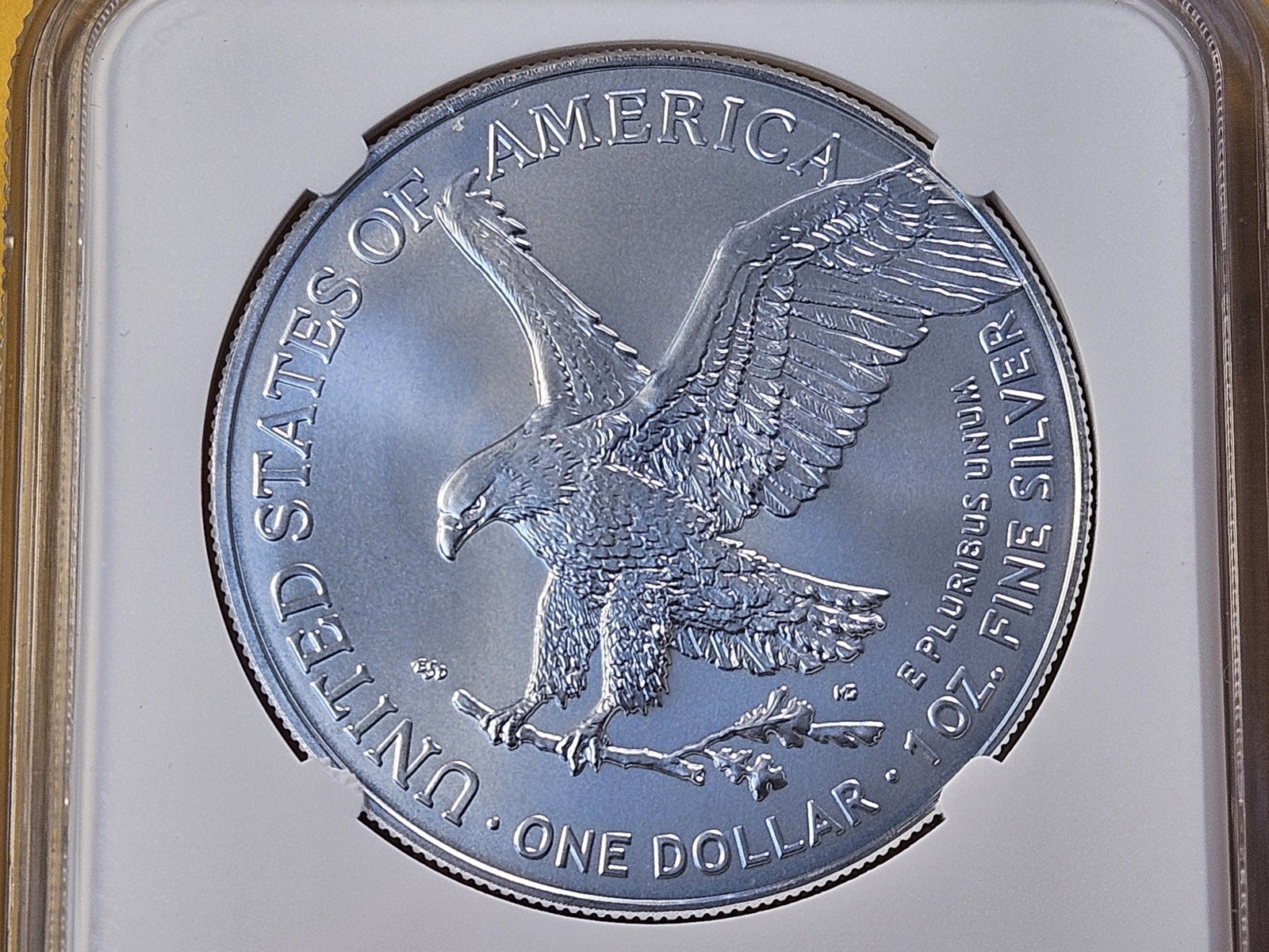 PERFECT! NGC 2024 American Silver Eagle in Mint State 69 - 4
