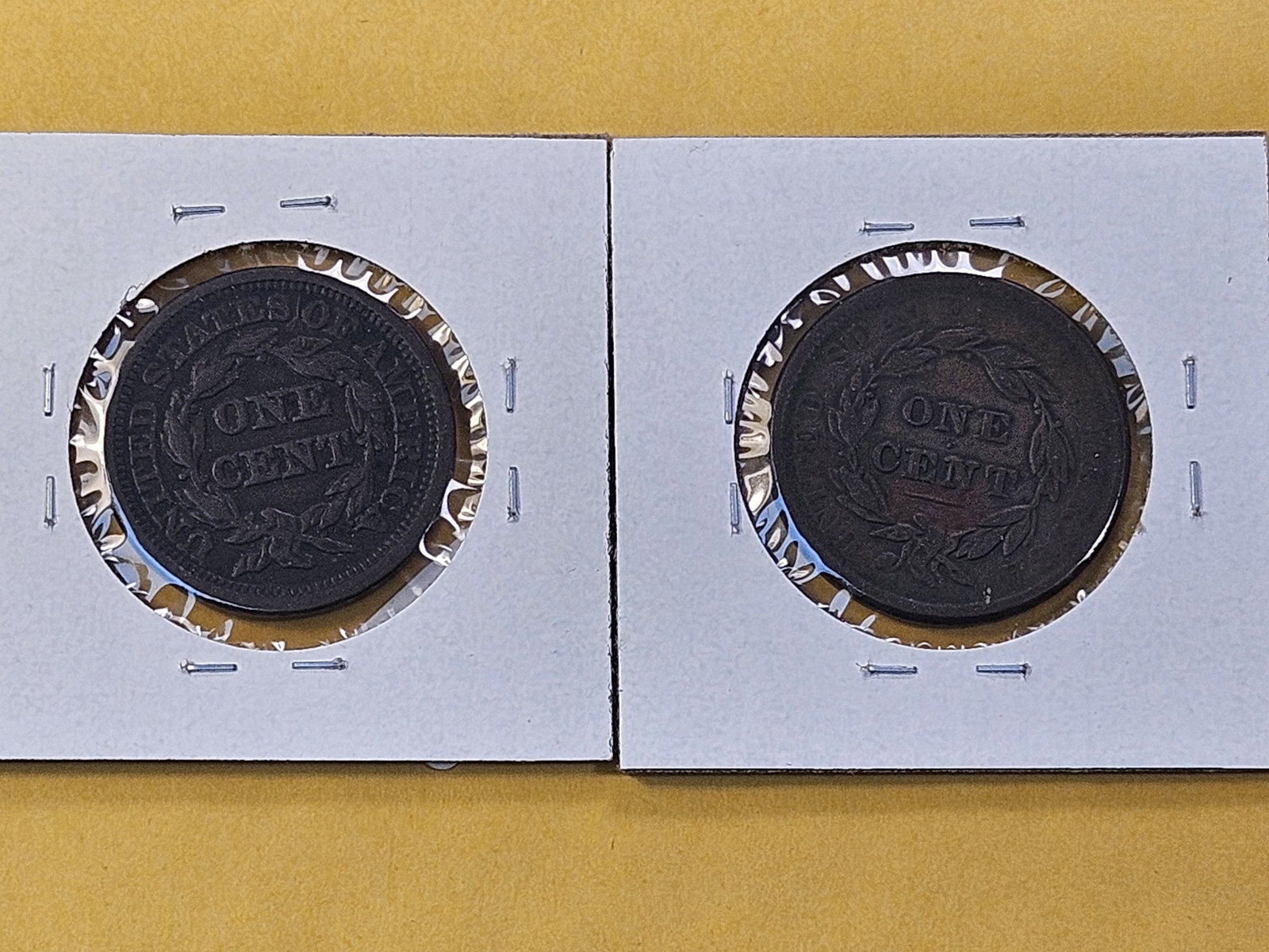 Two Circulated US Large Cents - 4