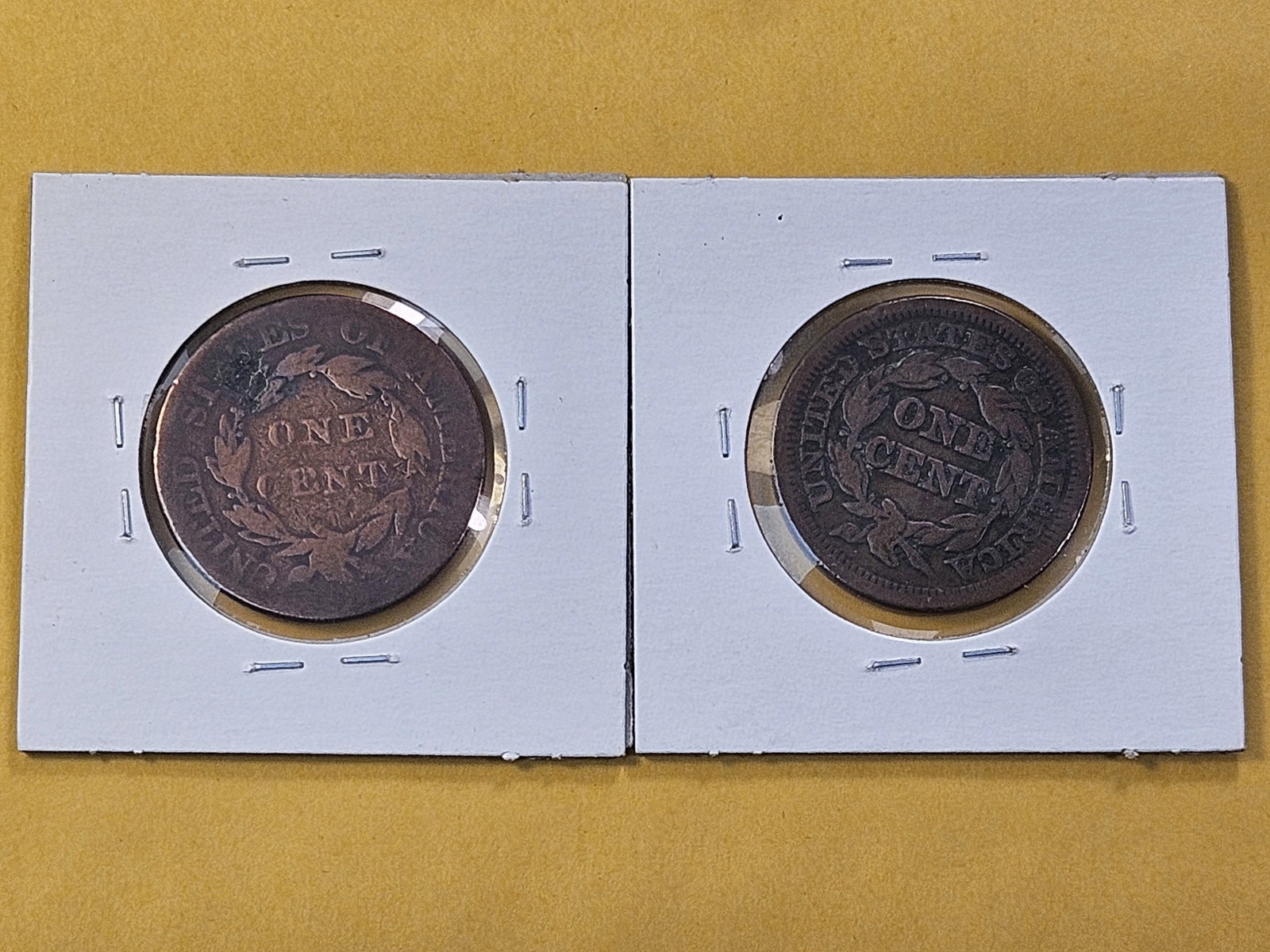 Two Circulated US Large Cents - 4