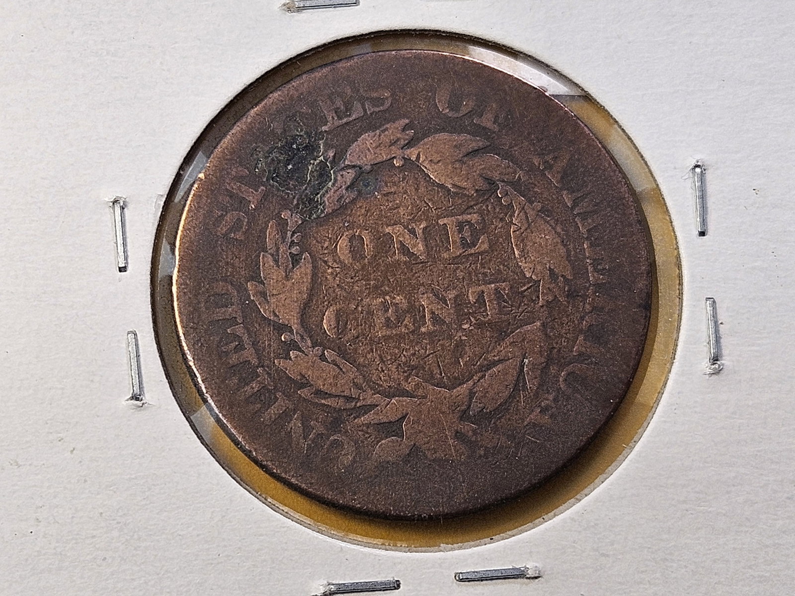Two Circulated US Large Cents - 5