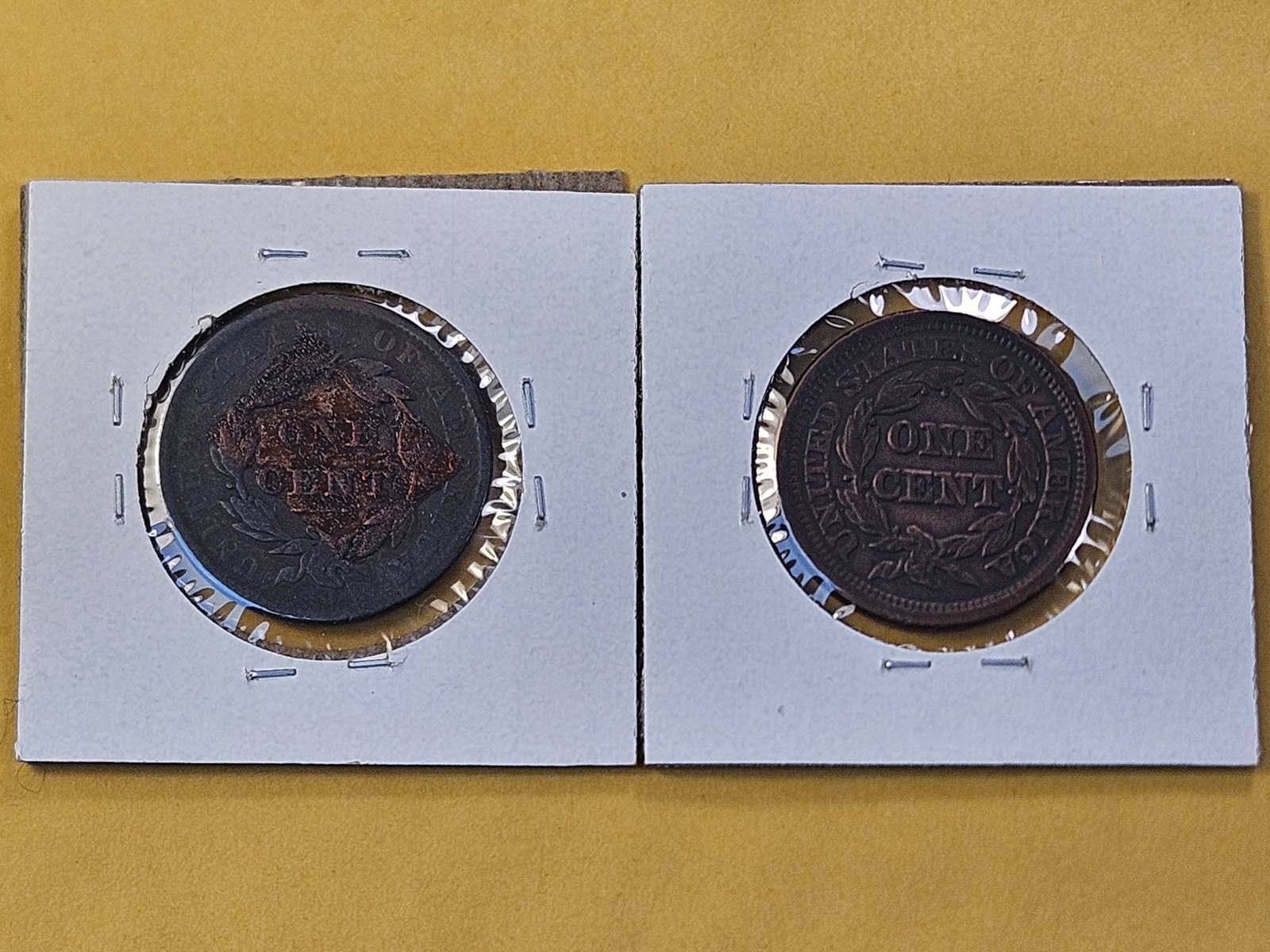 Two Circulated US Large Cents - 4