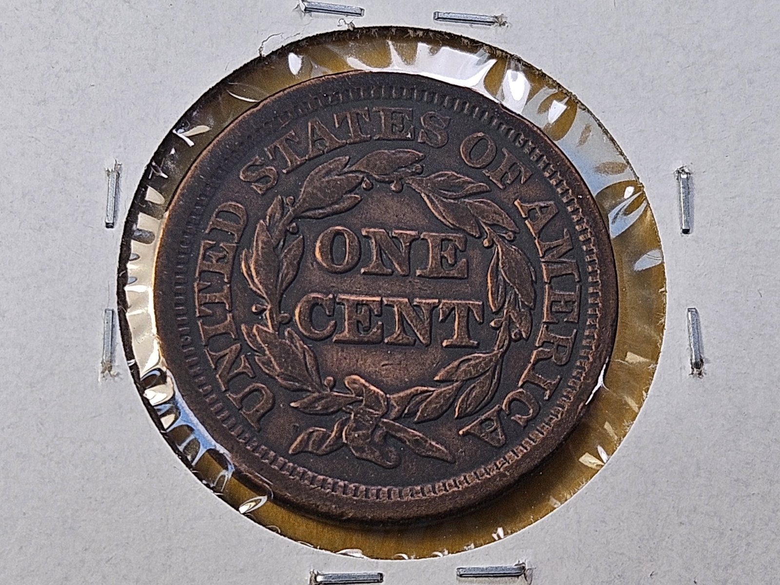 Two Circulated US Large Cents - 6
