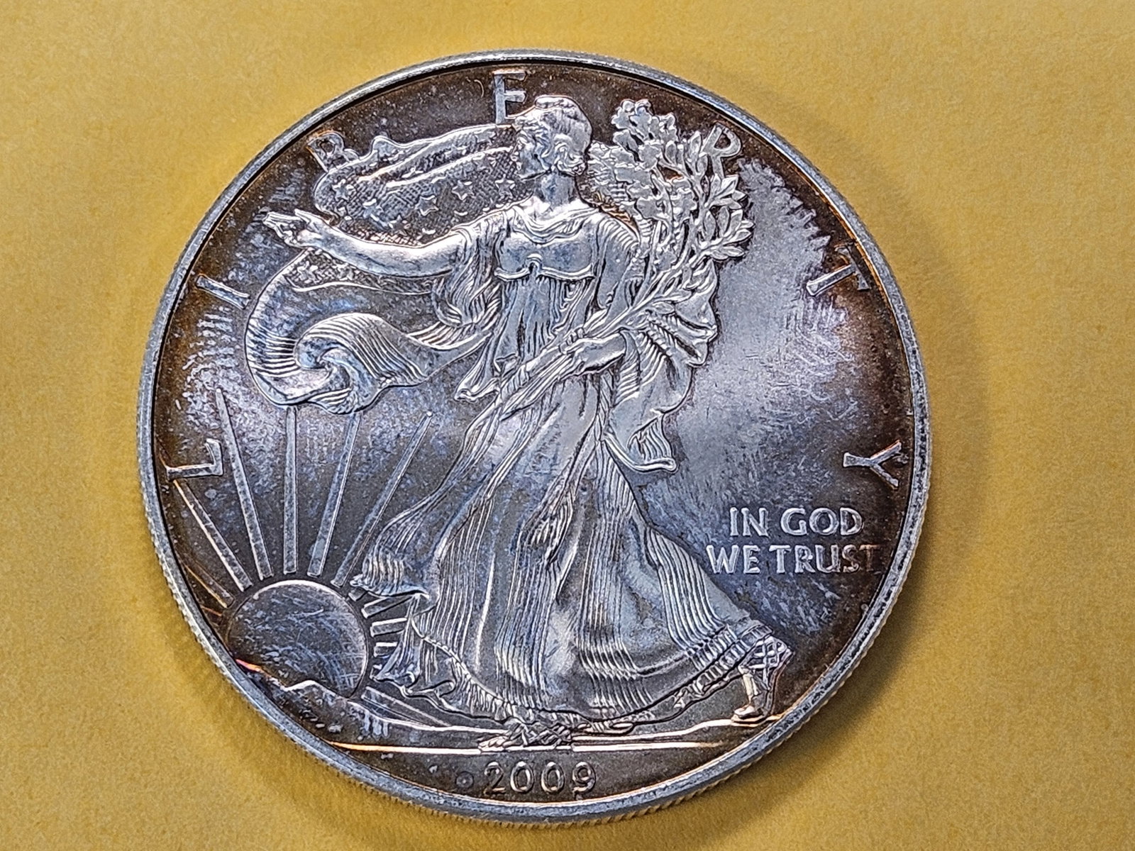 Brilliant Uncirculated 2009 American Silver Eagle (1 of 4)