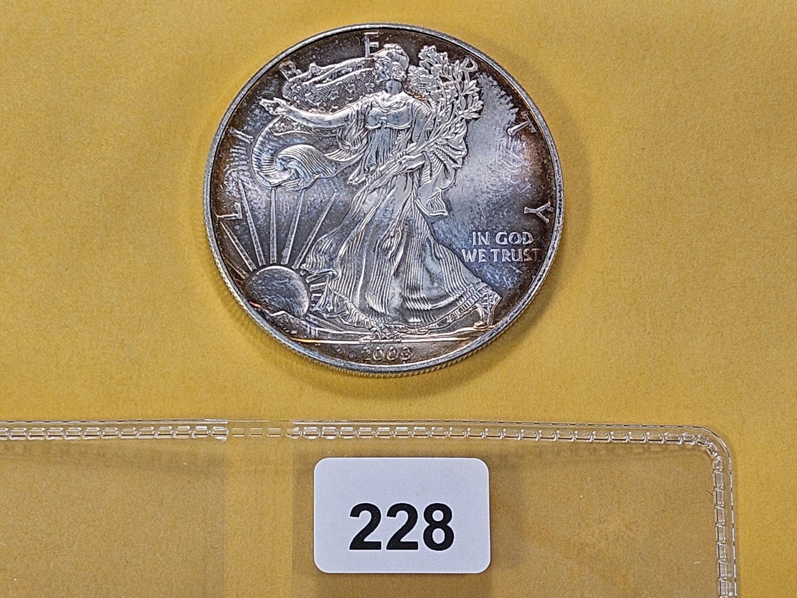 Brilliant Uncirculated 2009 American Silver Eagle - 2