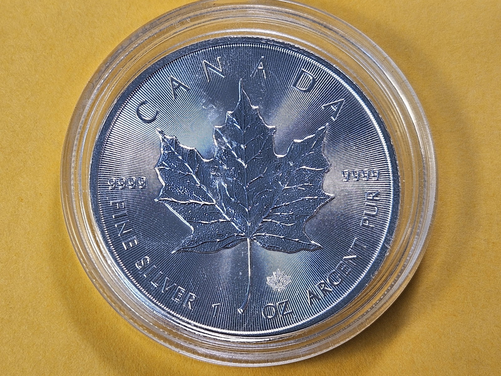 GEM Brilliant Uncirculated 2019 Canadian Silver Five Dollars: Maple Leaf!