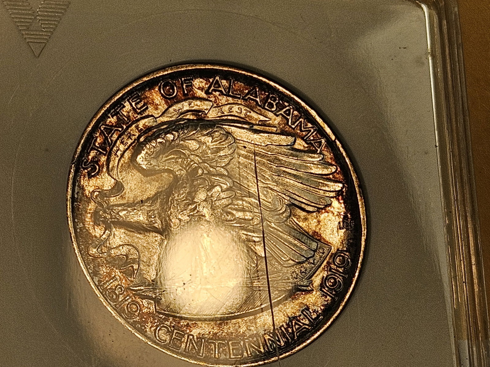 ANACS 1921 ALABAMA Commemorative Silver Half Dollar in Mint State 62 - 10