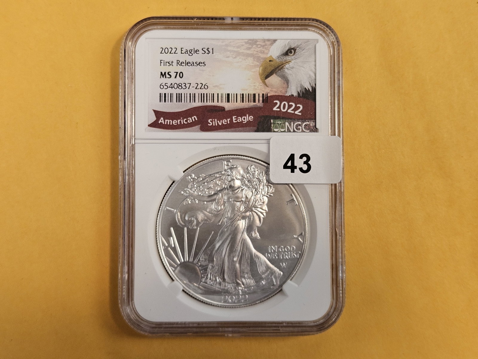 PERFECT! NGC 2022 American Silver Eagle in Mint State 70 (1 of 2)