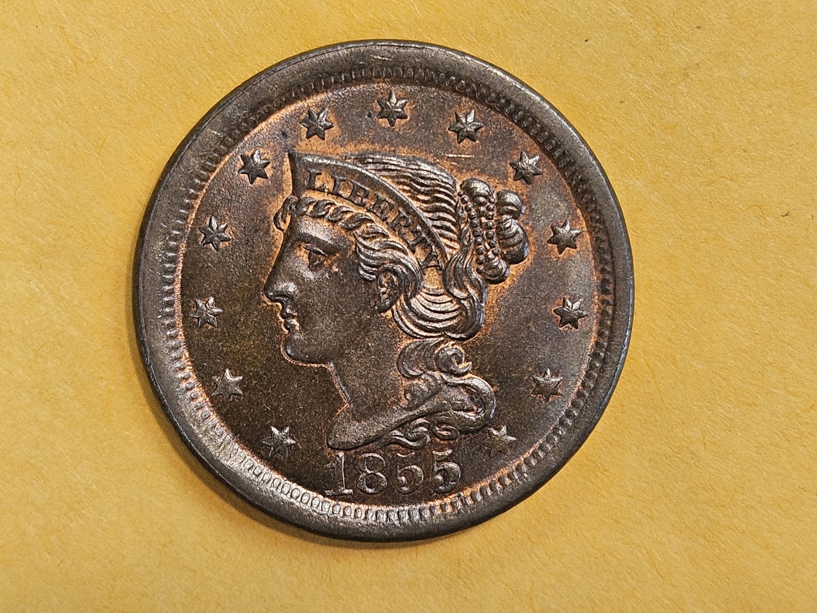 * Choice Brown Uncirculated 1855 Braided Hair Large Cent - 8
