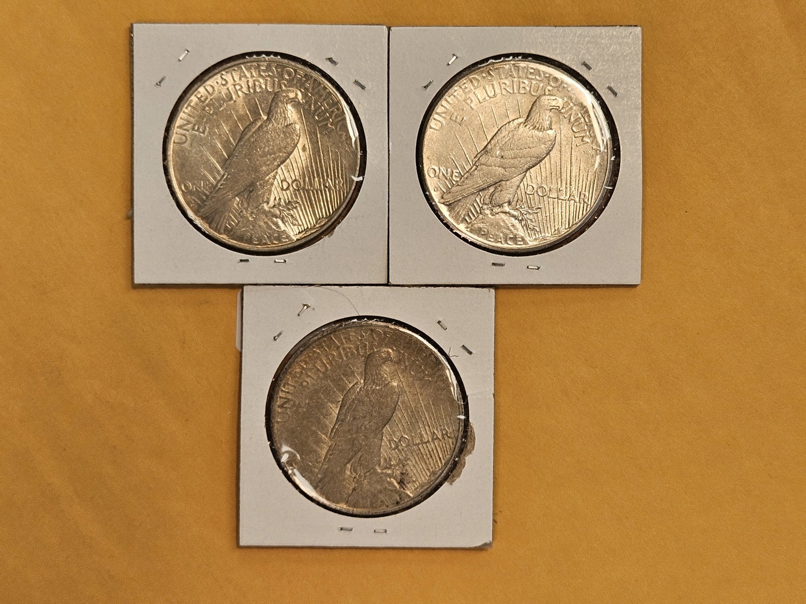 Three Peace silver Dollars - 3