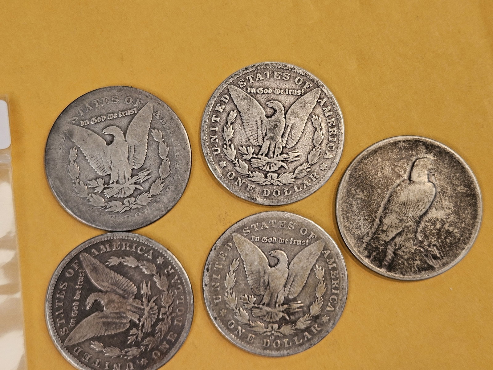 Six mixed Morgan and Peace Silver Dollars - 2