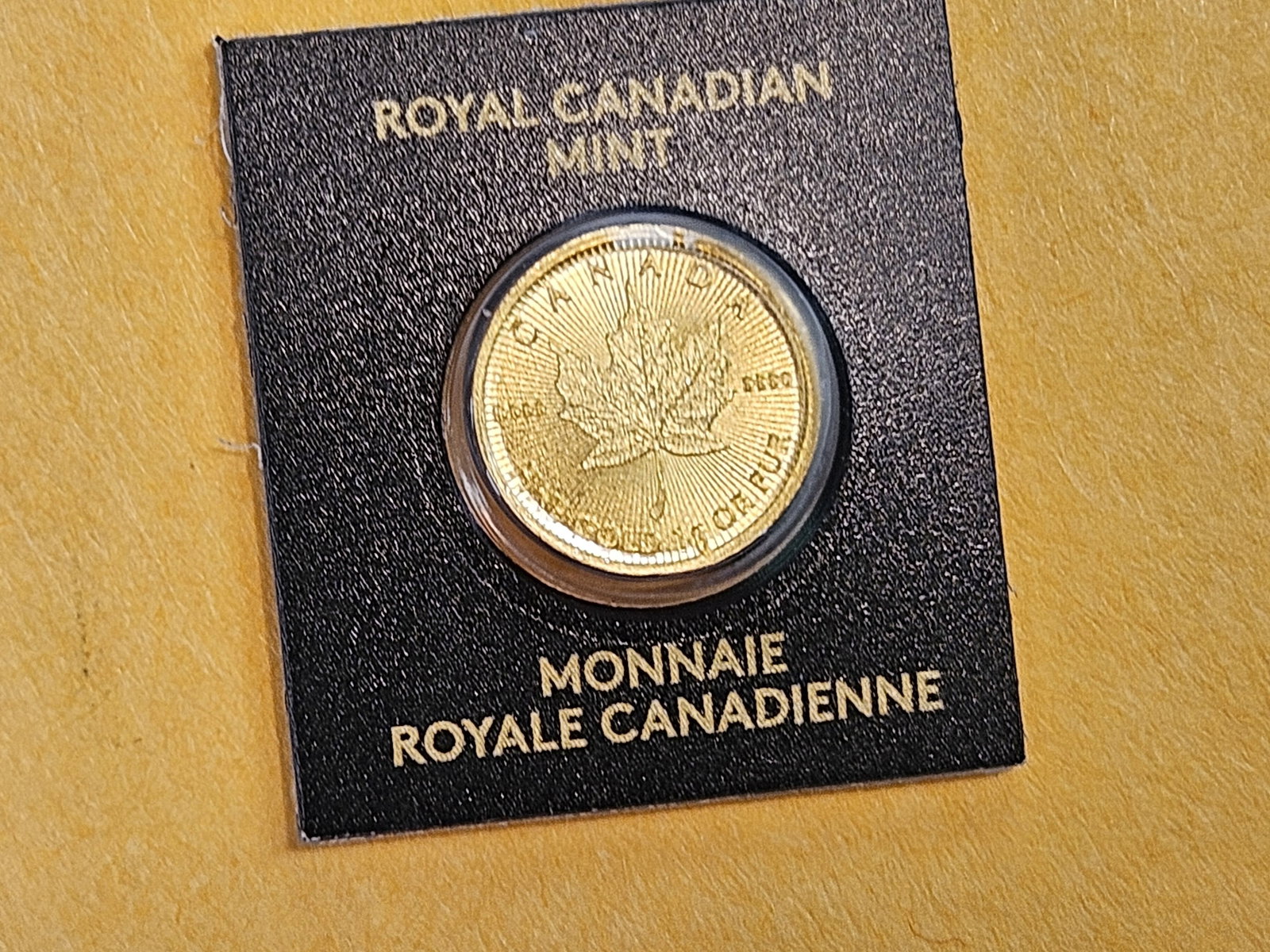 GOLD! GEM 2020 Canada Gold 50 cent Maple Leaf - 3