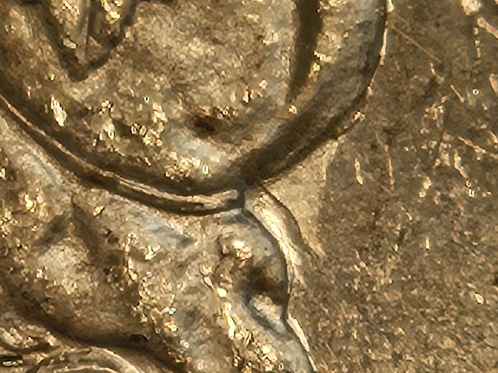 ** KEY DATE ** CACG 1882-CC Morgan Dollar in Mint State 63 - 4