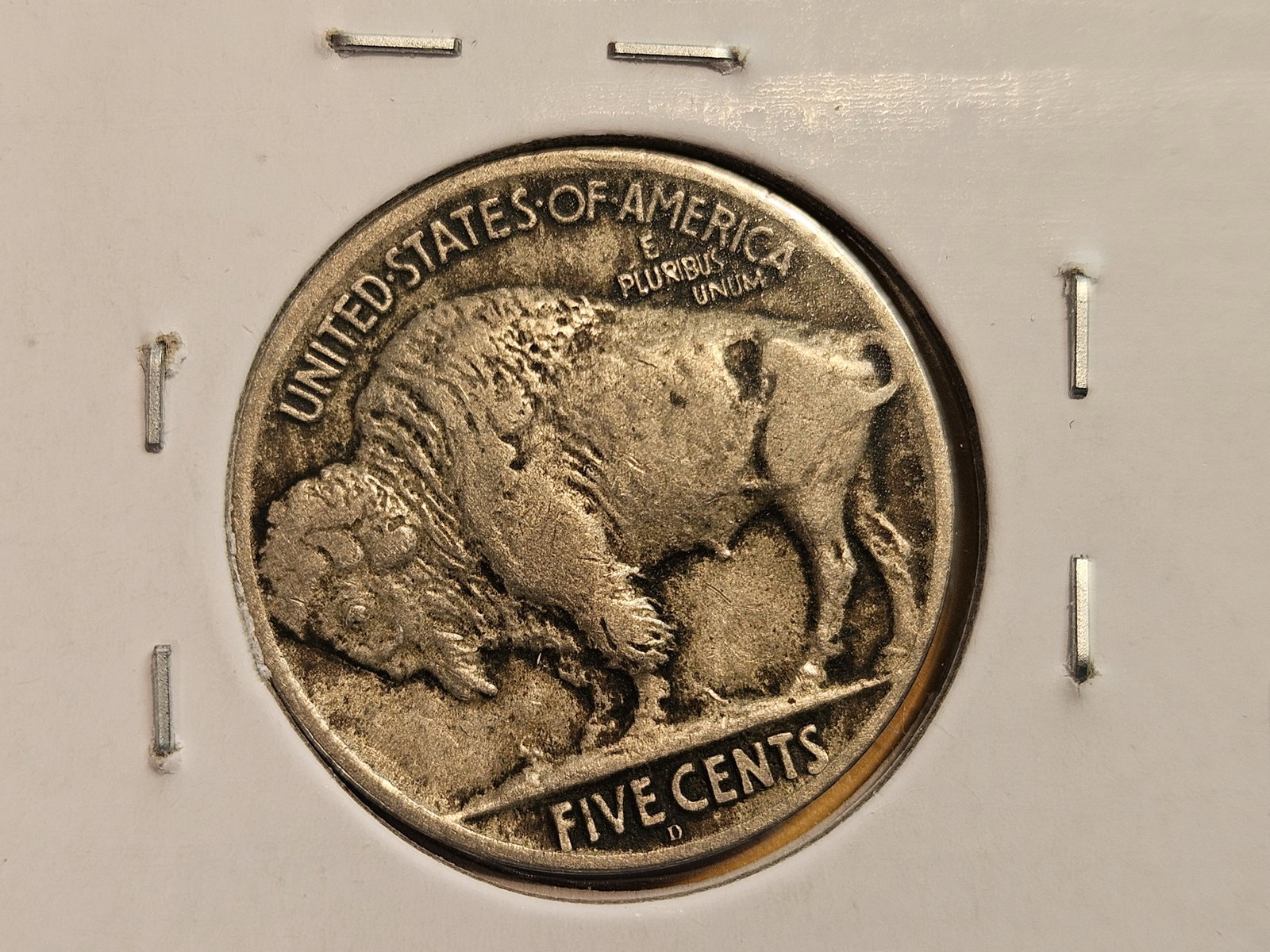 * Semi-Key 1924-D Buffalo Nickel in Extra Fine - 4