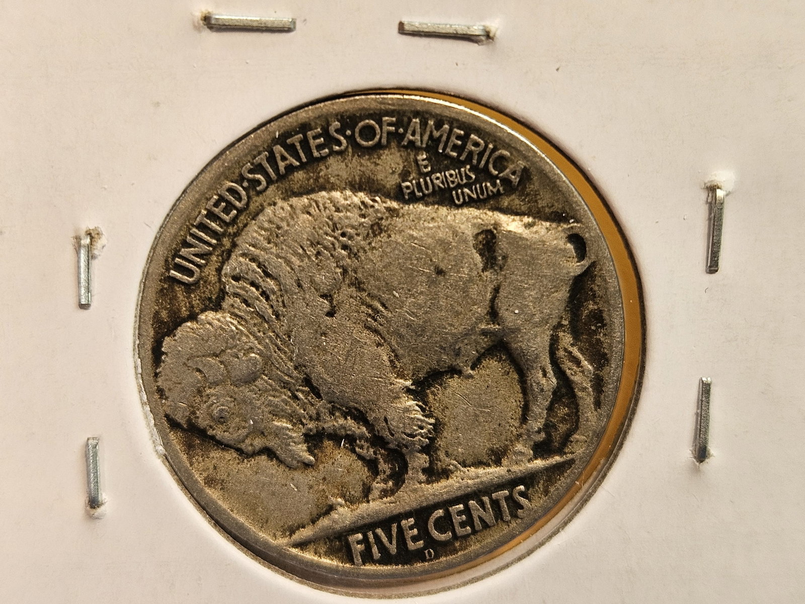 * Semi-Key 1924-D Buffalo Nickel in Extra Fine - 5