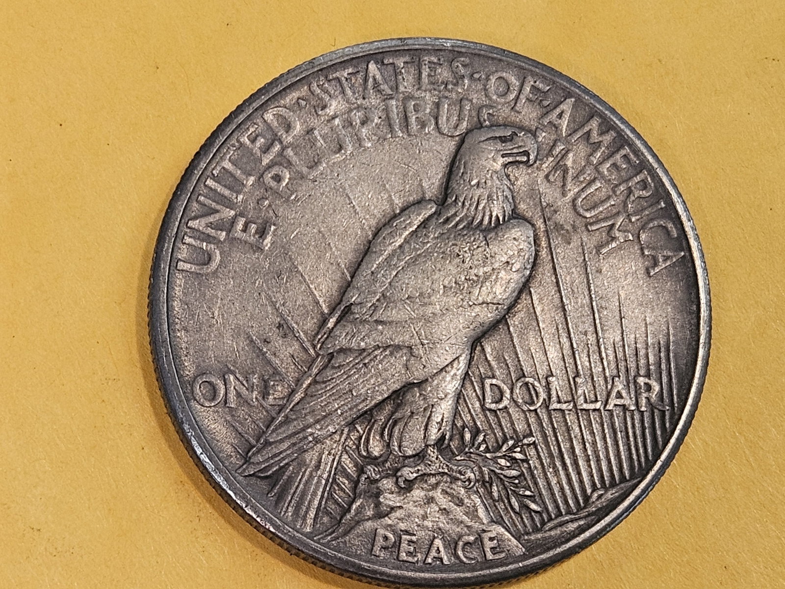 ** KEY DATE ** 1921 Peace Silver Dollar in Extra Fine - 45 - 4