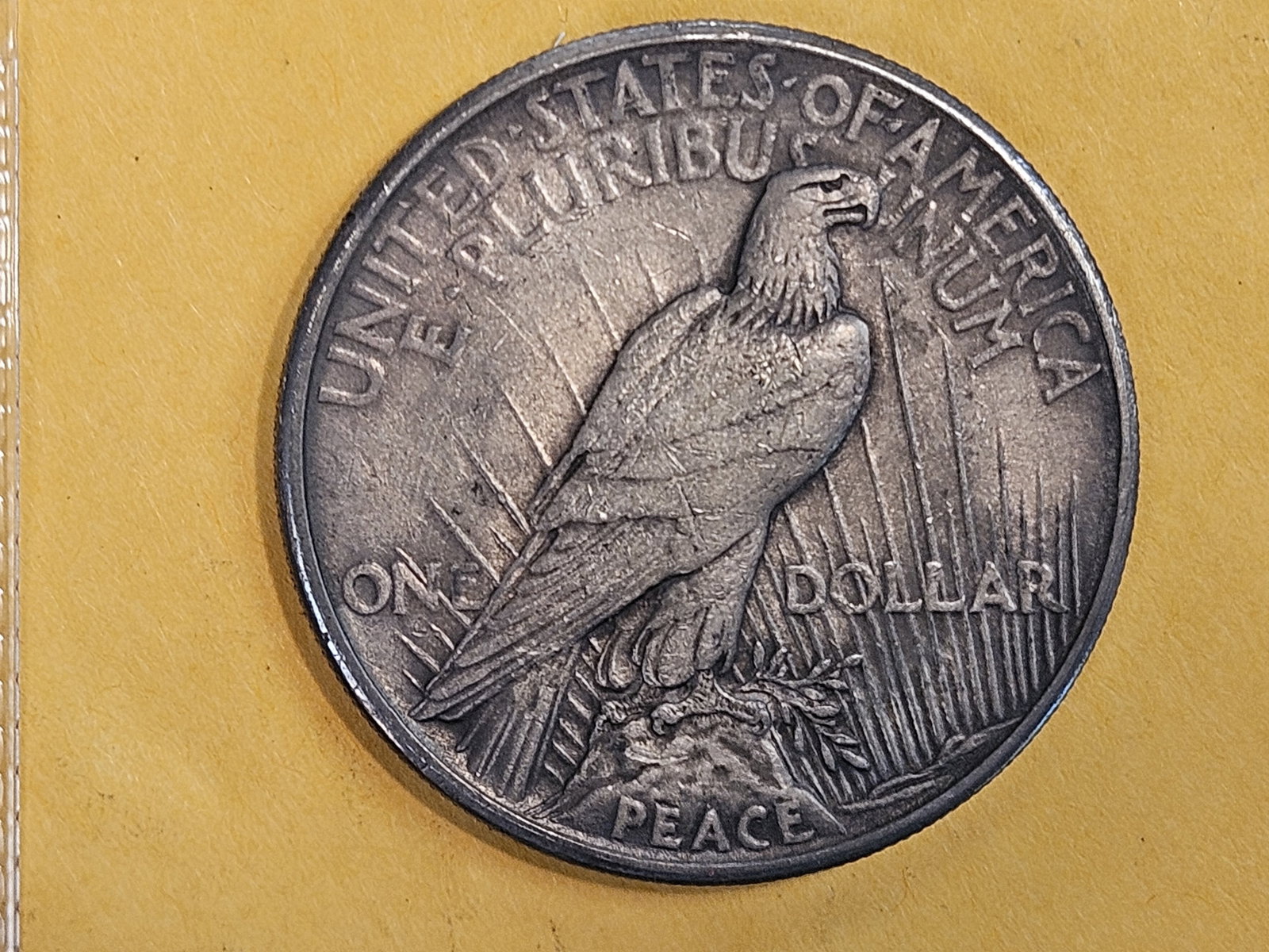 ** KEY DATE ** 1921 Peace Silver Dollar in Extra Fine - 45 - 5
