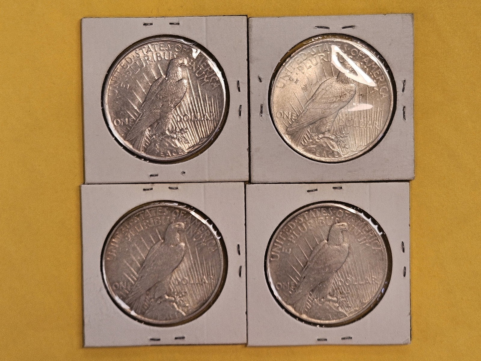 Four Bright about Uncirculated Peace silver Dollars - 3