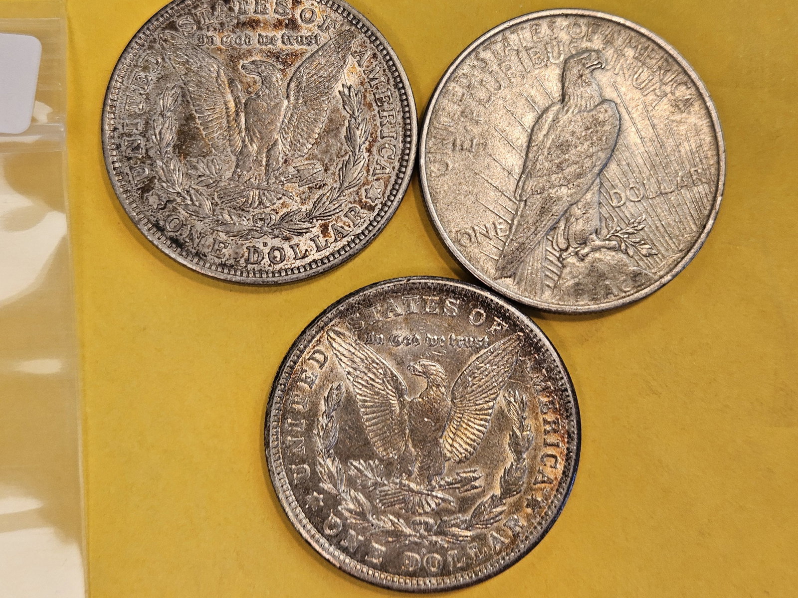 Three Morgan Silver Dollars - 2