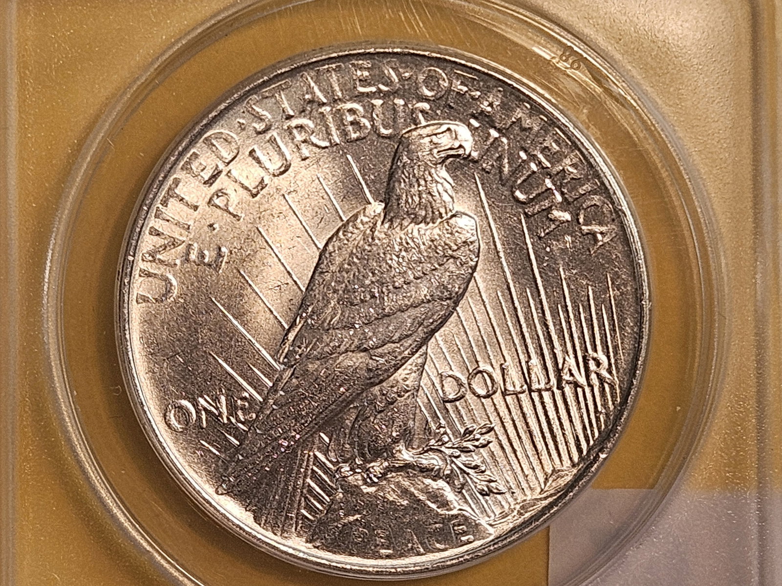 ANACS 1924 Peace Silver Dollar in Mint State 61 - 4