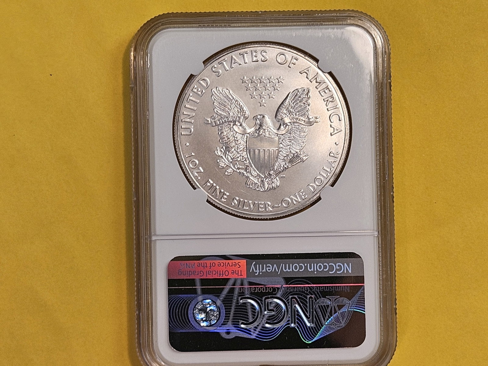 NGC 2013 American Silver Eagle in Mint State 69 - 2