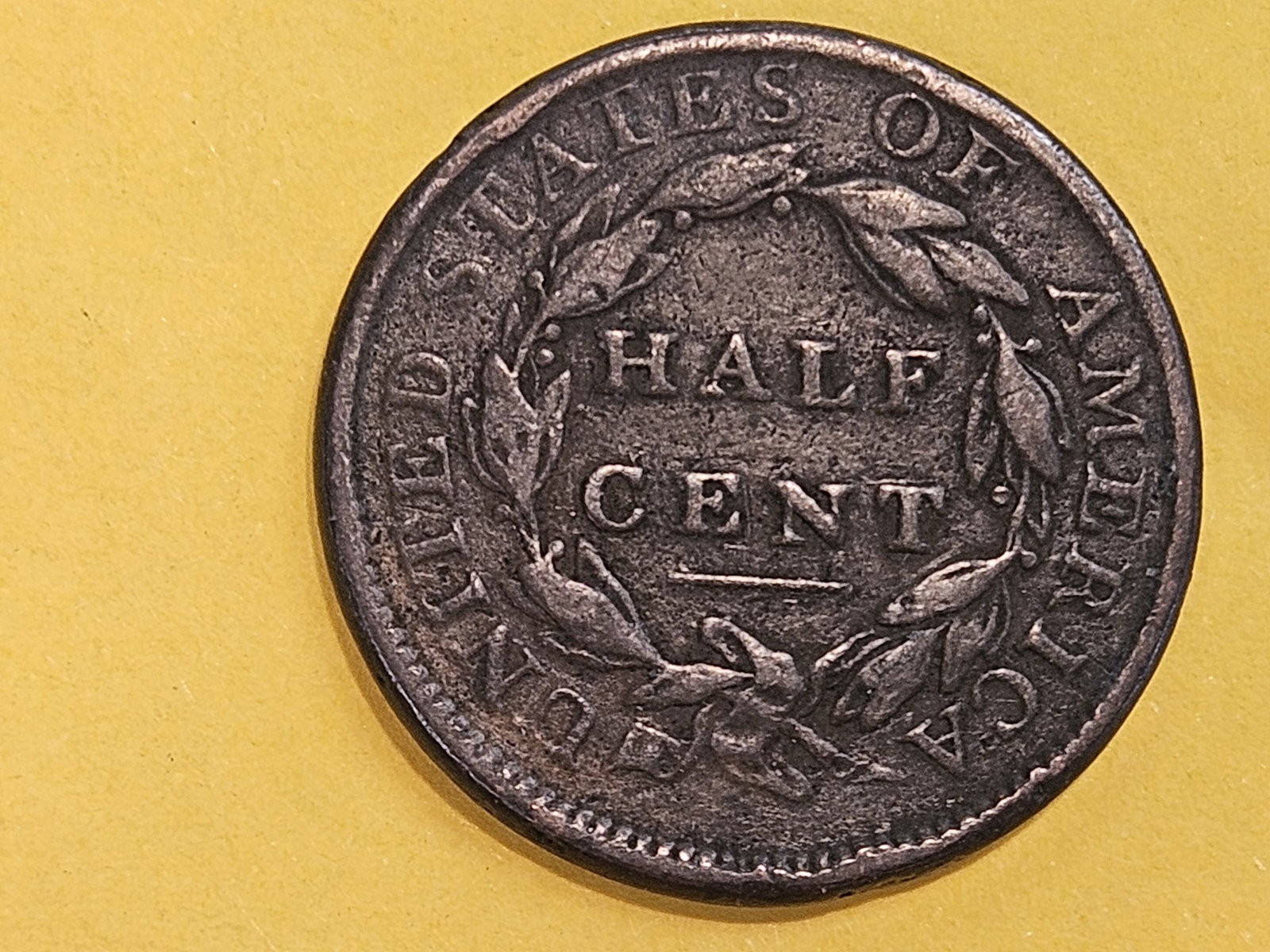 1809 Classic Head Half Cent in Fine Plus - details - 4
