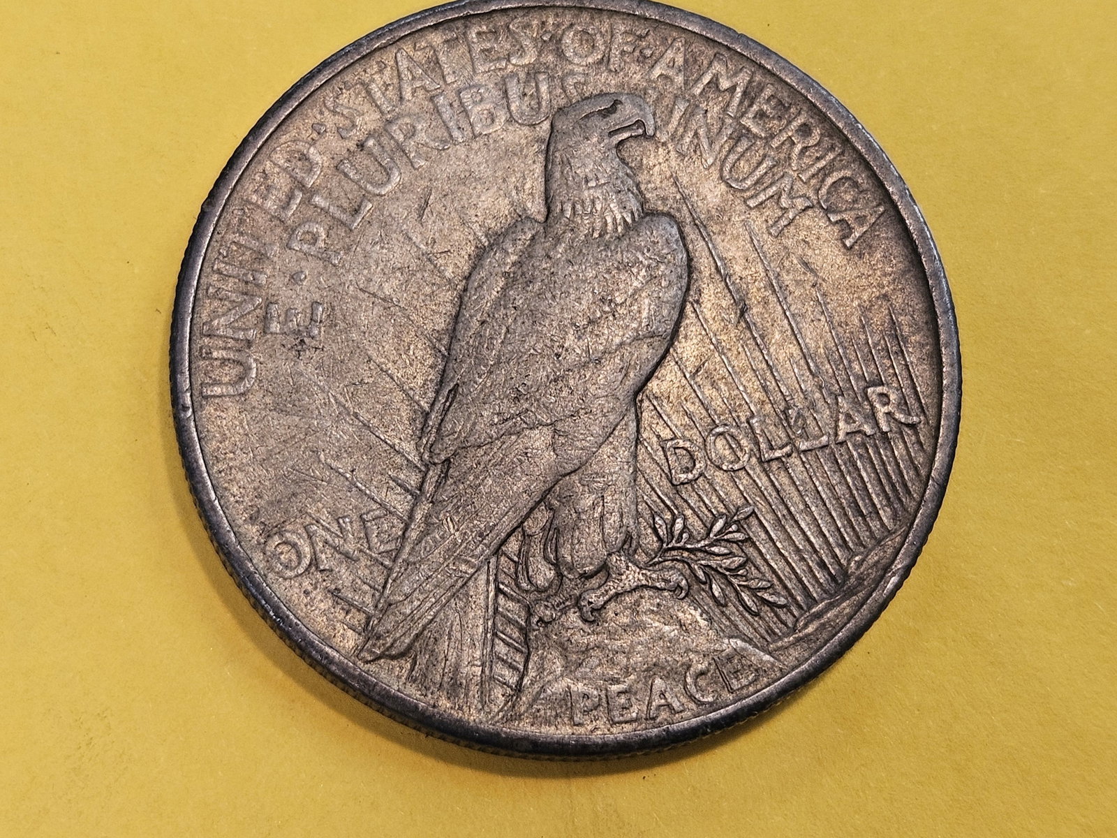 ** KEY DATE ** 1921 Peace Silver Dollar in Extra Fine Plus - 4