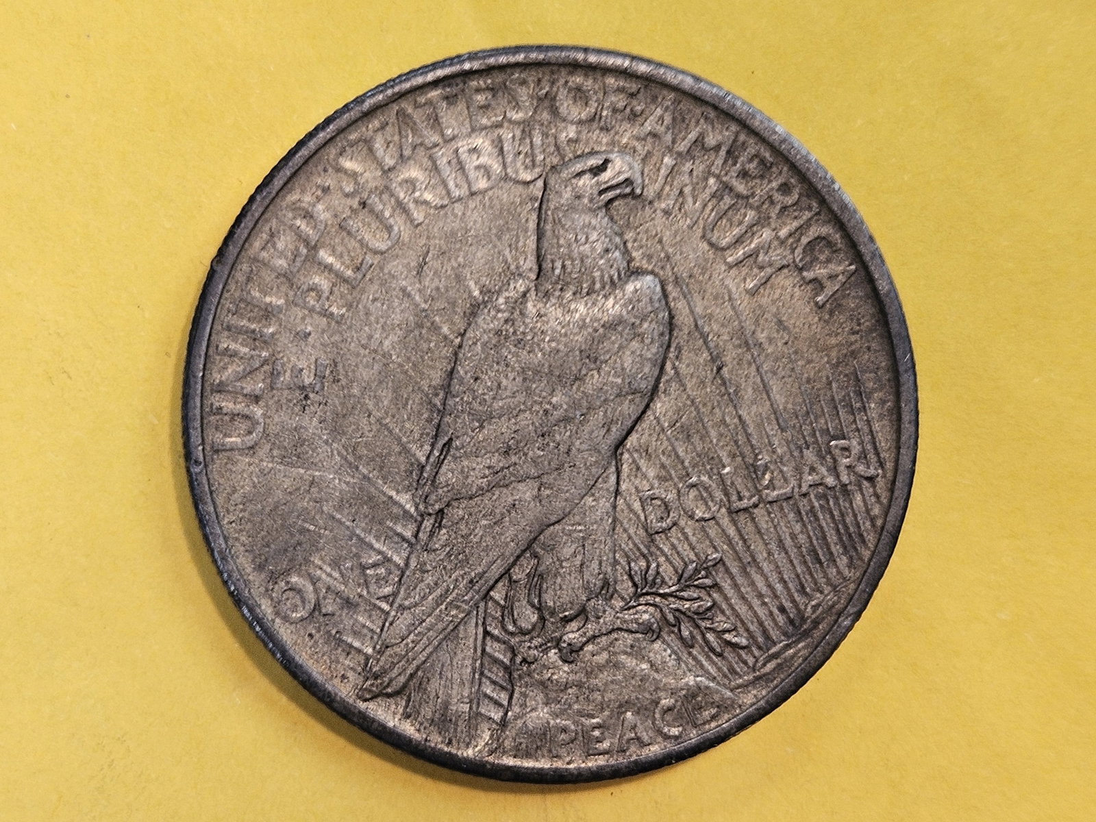 ** KEY DATE ** 1921 Peace Silver Dollar in Extra Fine Plus - 5