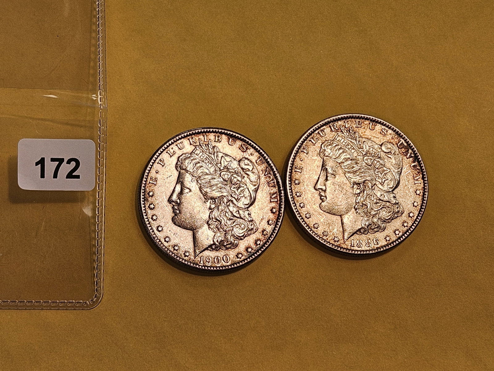 Two Brilliant About Uncirculated plus Morgan Silver Dollars - 2