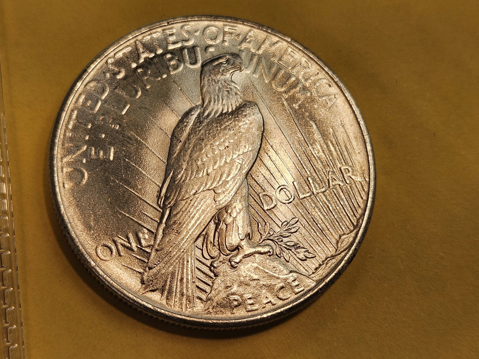 Very Choice Brilliant Uncirculated 1924 Peace Silver Dollar - 5
