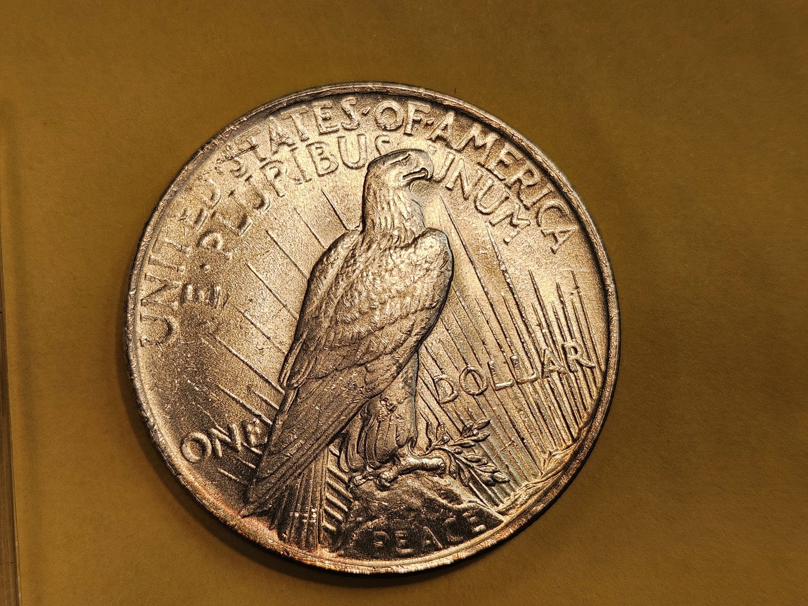 Choice to Very Choice Brilliant Uncirculated 1923 Peace Silver Dollar - 7