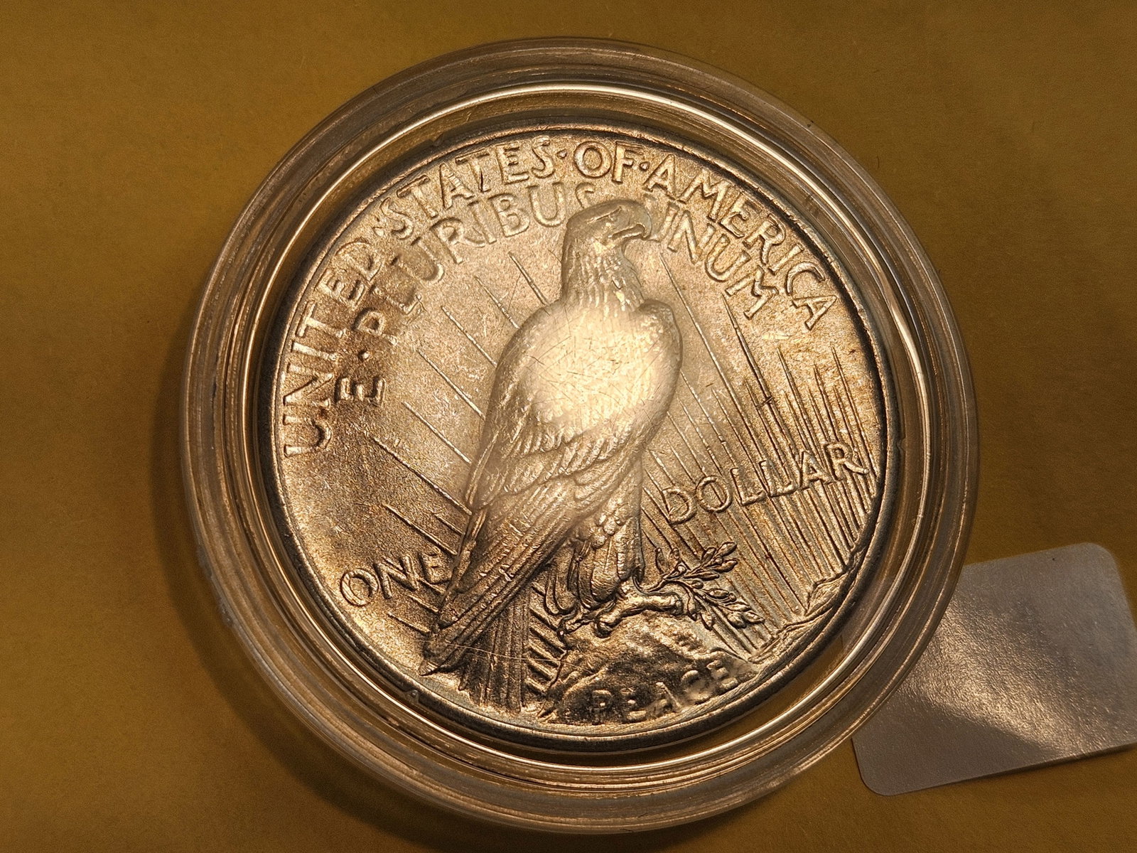 Choice Brilliant Uncirculated 1925 Peace Silver Dollar - 4