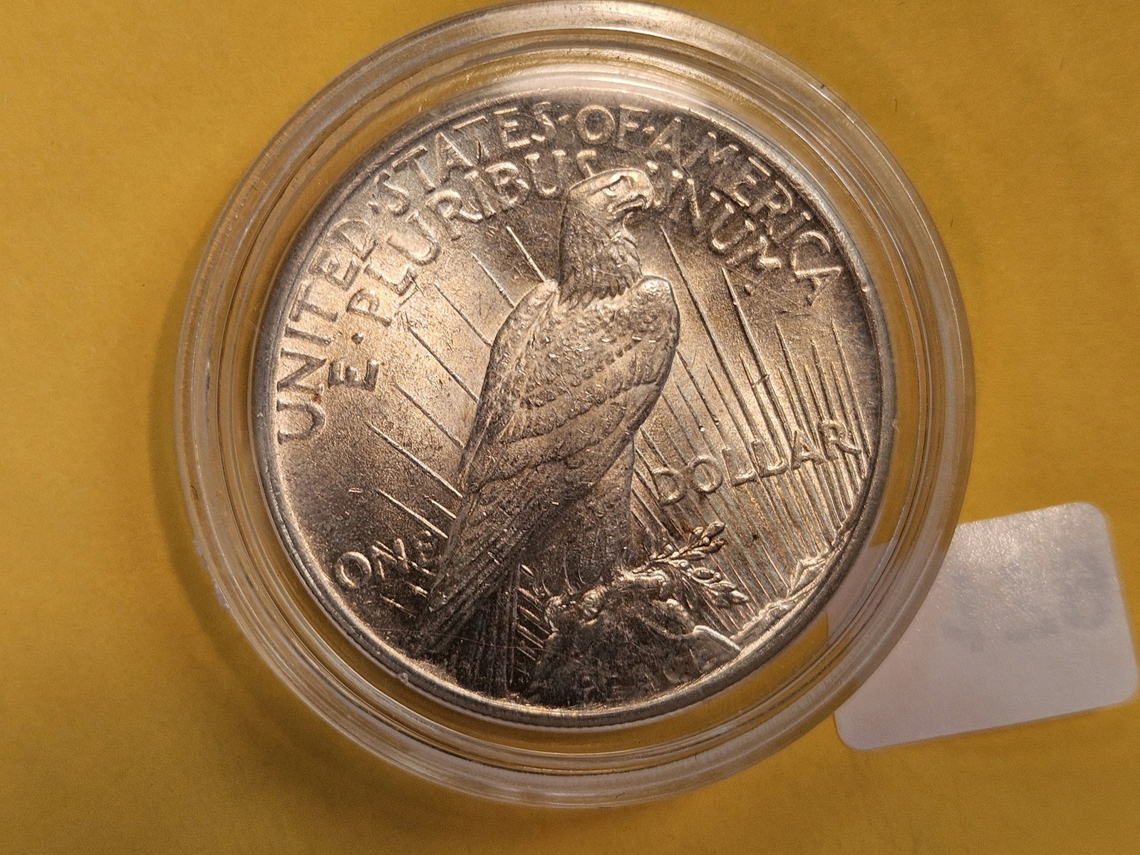 Choice Brilliant Uncirculated 1925 Peace Silver Dollar - 5