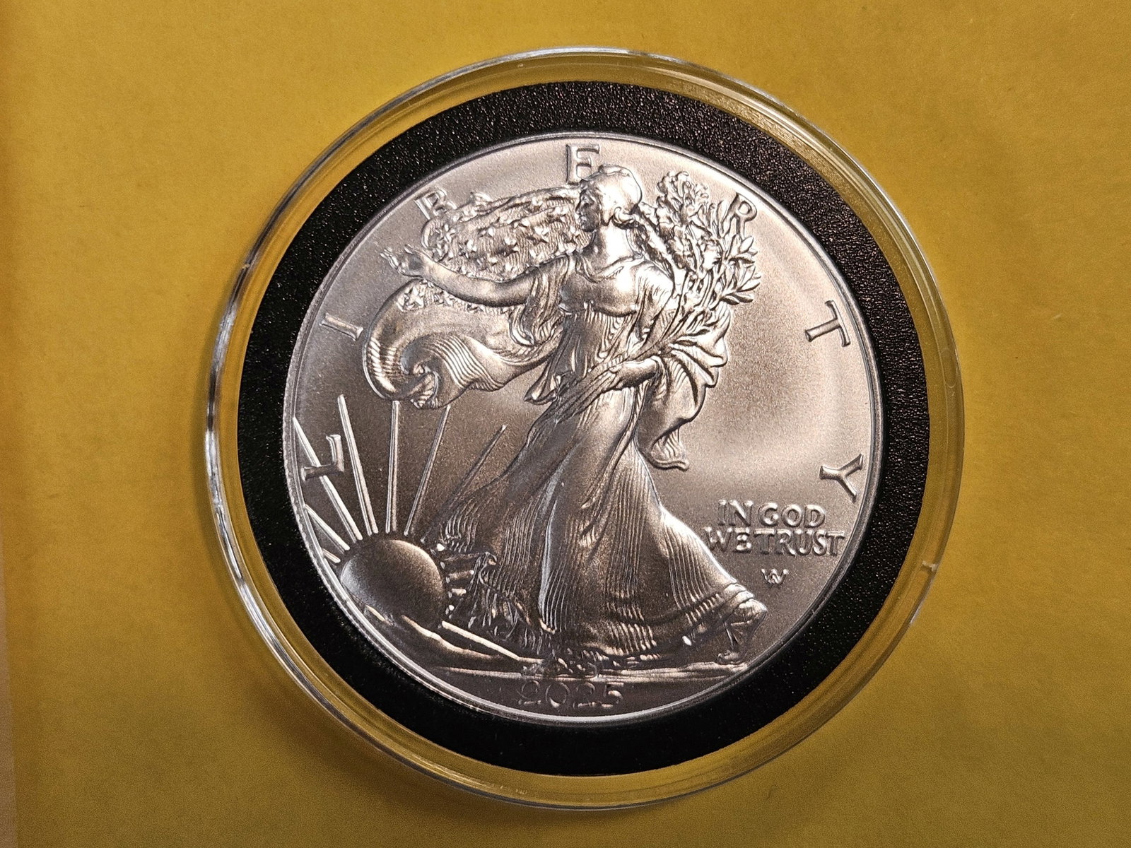 GEM Brilliant Uncirculated 2025 American Silver Eagle: Last year's issue