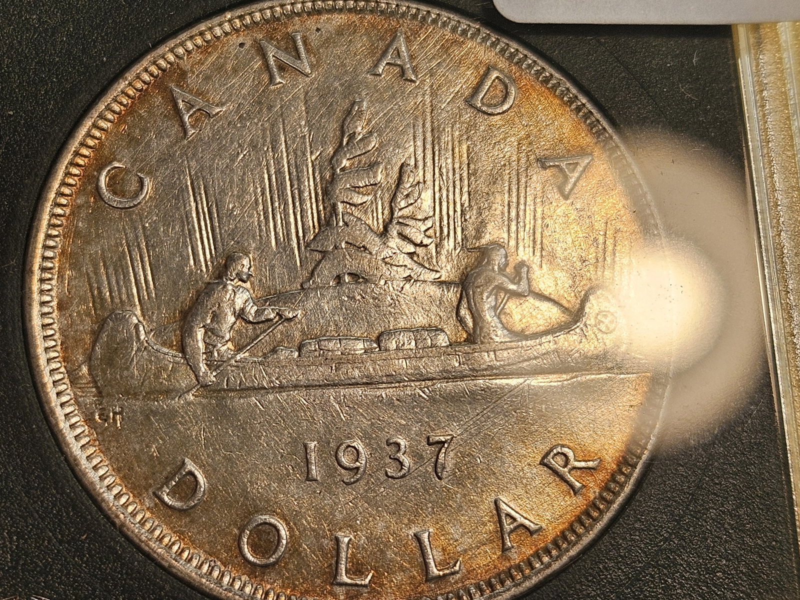 Brilliant About Uncirculated plus - details 1937 Canada Silver Dollar - 3