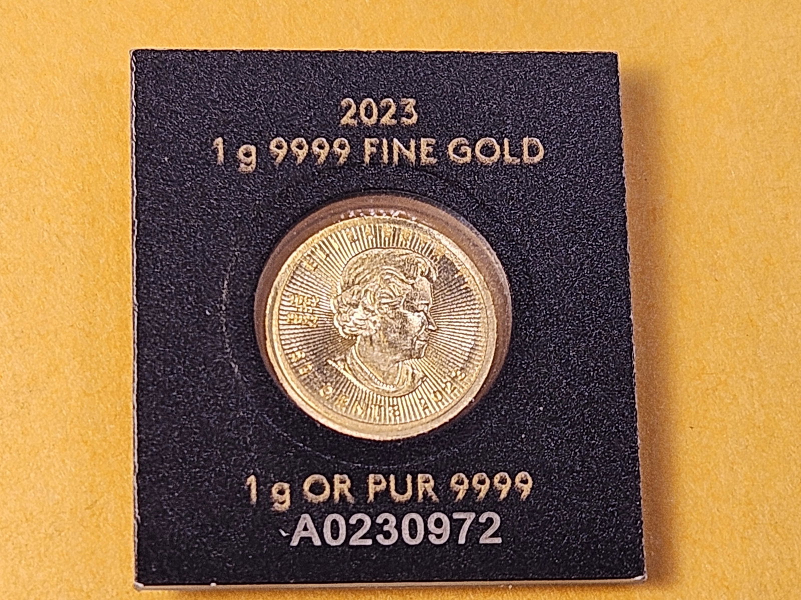 GOLD! Royal Canadian Mint 2023 Gold Fifty Cents - 5