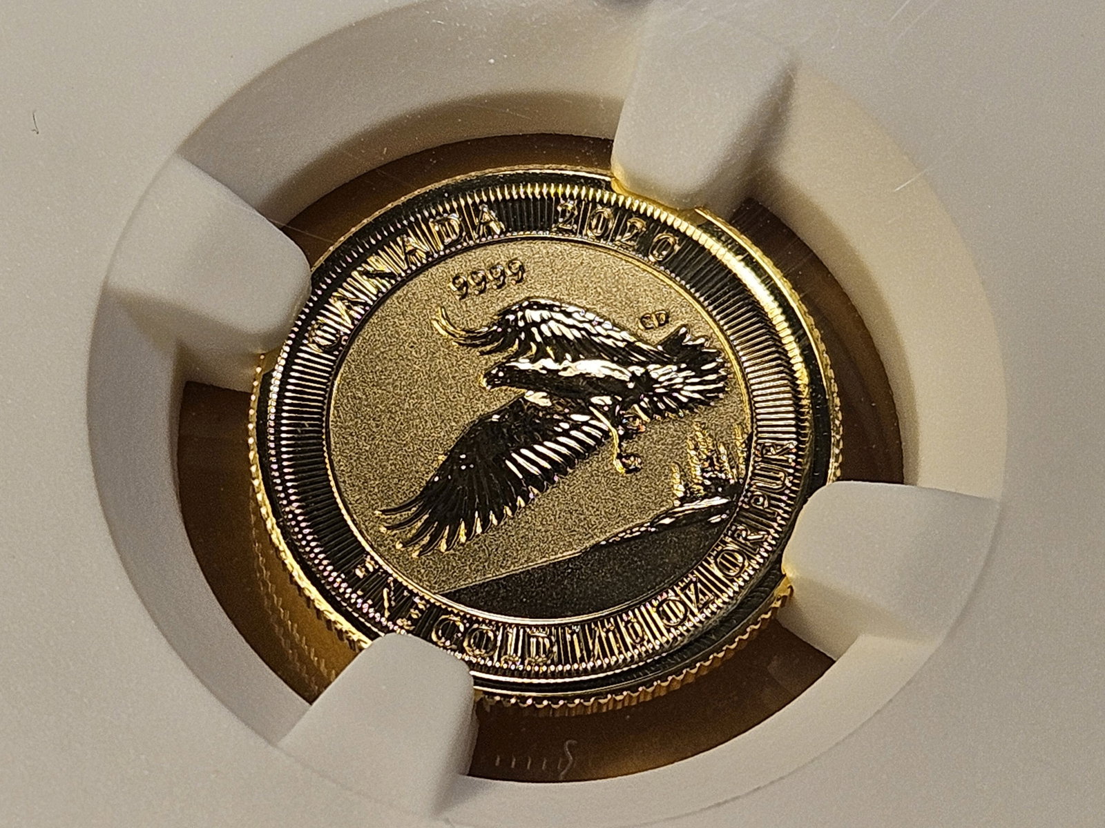 GOLD! NGC 2020 Canadian Five Dollar Gold in Mint State 69 - 2