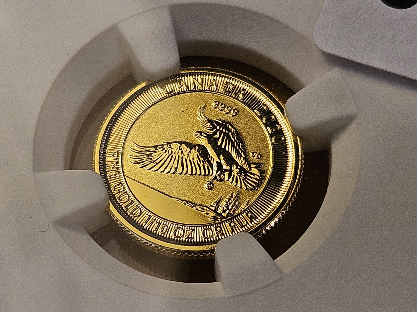 GOLD! NGC 2020 Canadian Five Dollar Gold in Mint State 69 - 3