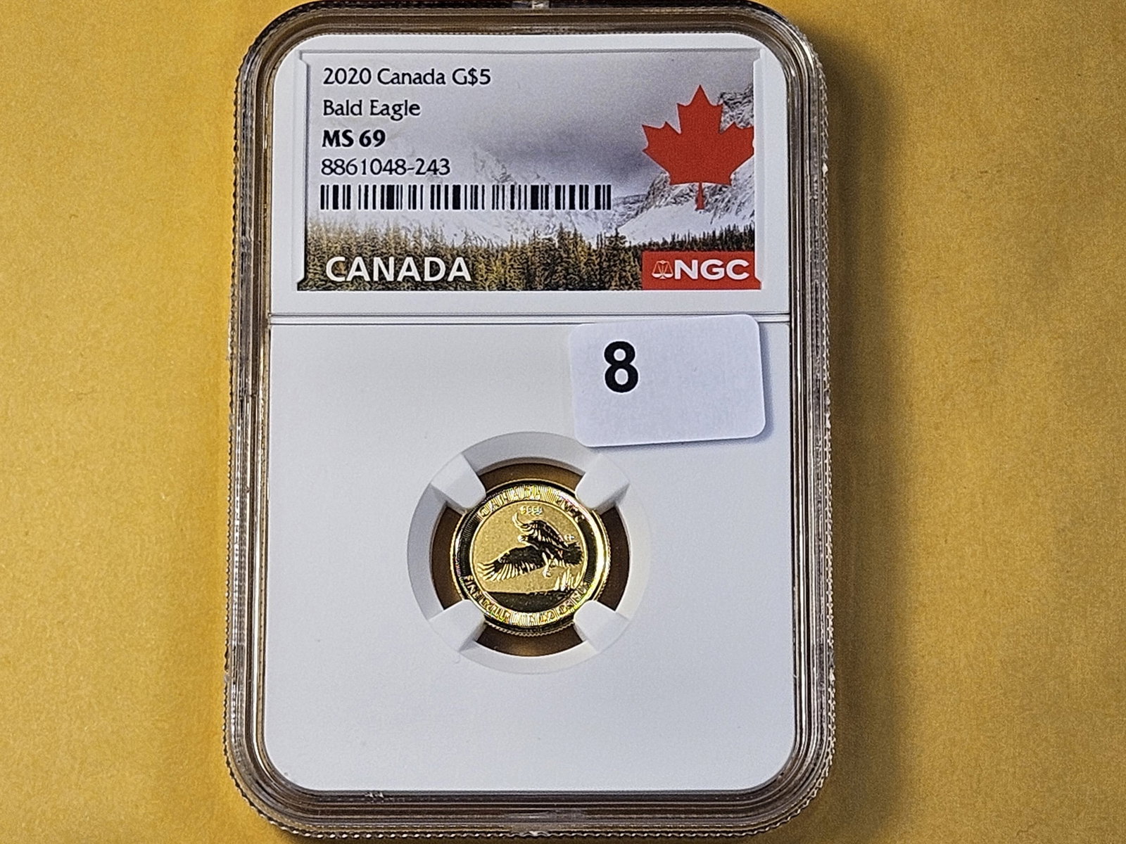 GOLD! NGC 2020 Canadian Five Dollar Gold in Mint State 69 - 4