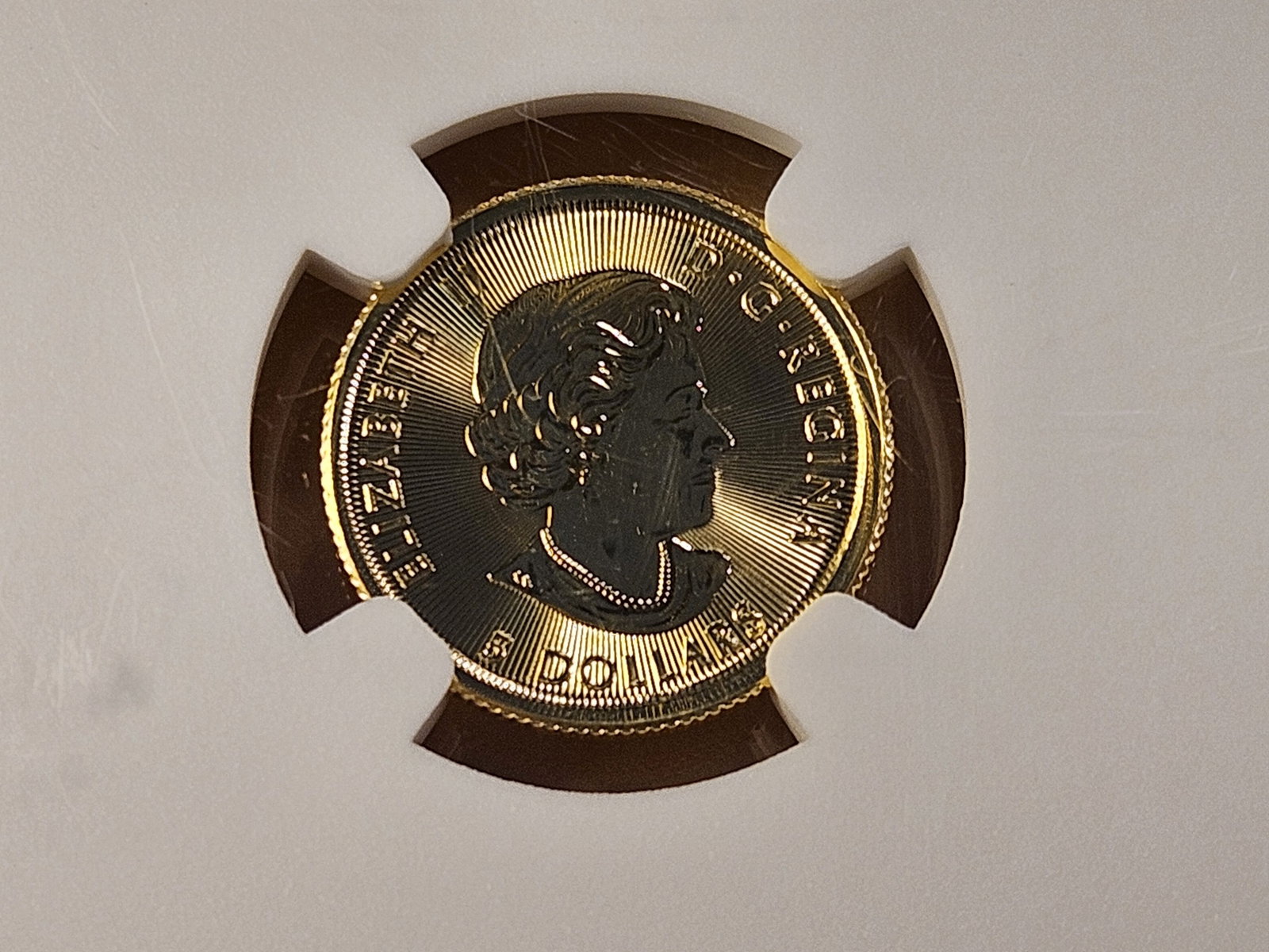 GOLD! NGC 2020 Canadian Five Dollar Gold in Mint State 69 - 6