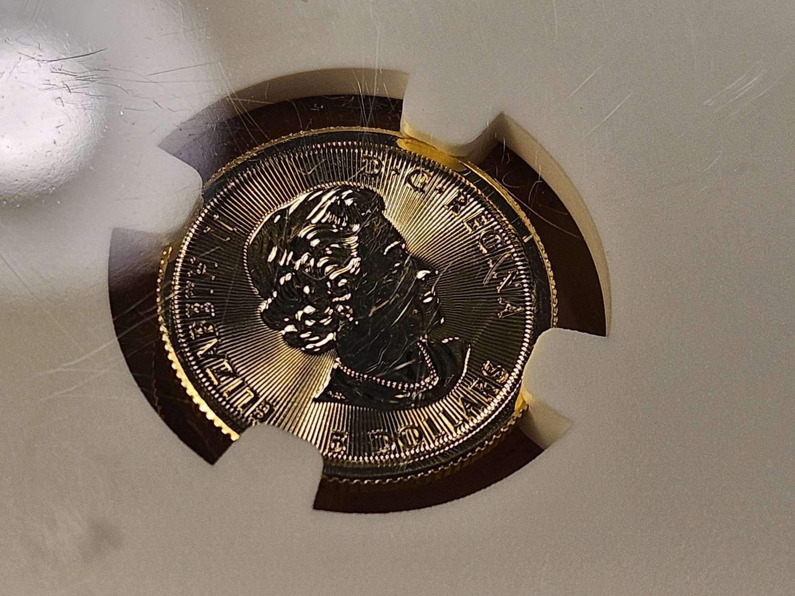 GOLD! NGC 2020 Canadian Five Dollar Gold in Mint State 69 - 7