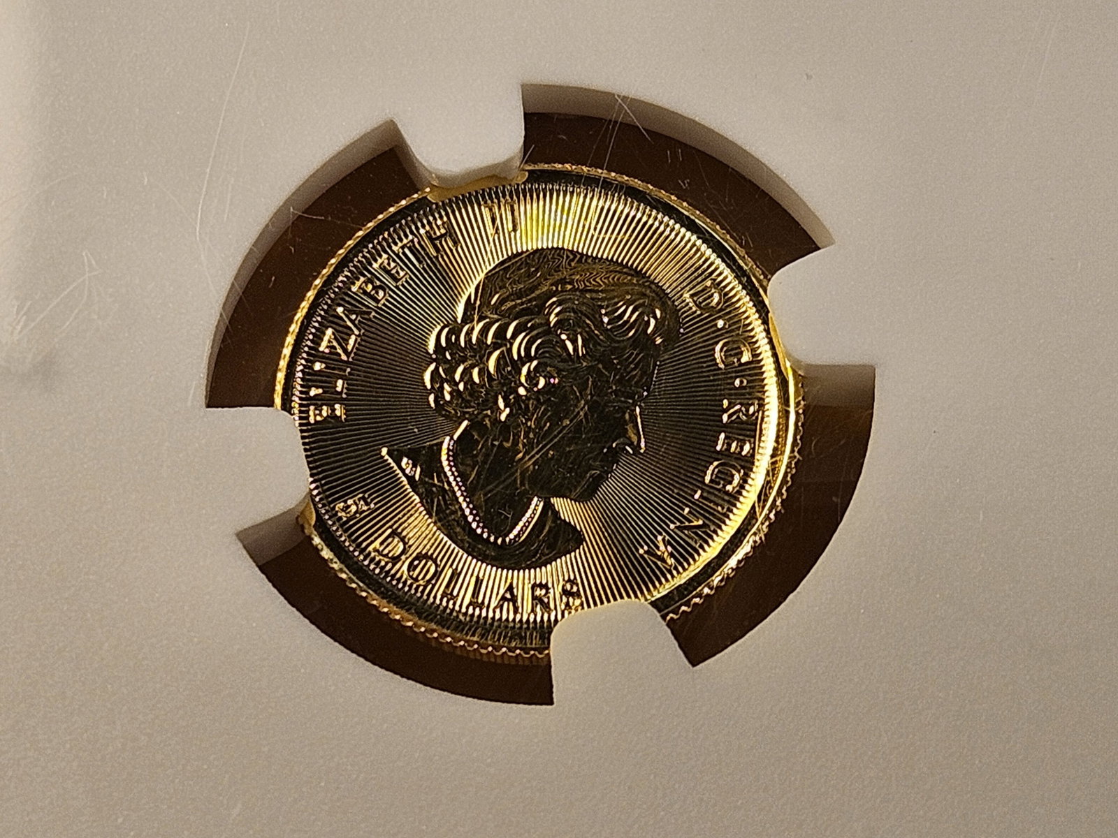 GOLD! NGC 2020 Canadian Five Dollar Gold in Mint State 69 - 8