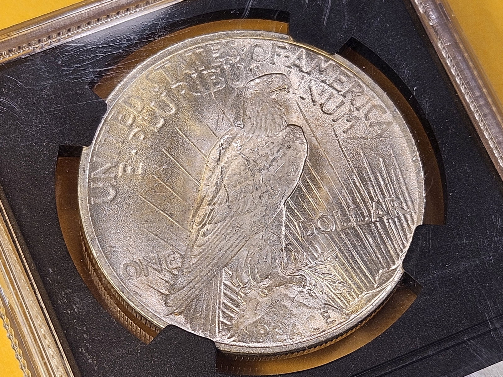 NGC 1922 Peace Silver Dollar in Brilliant Uncirculated - 7
