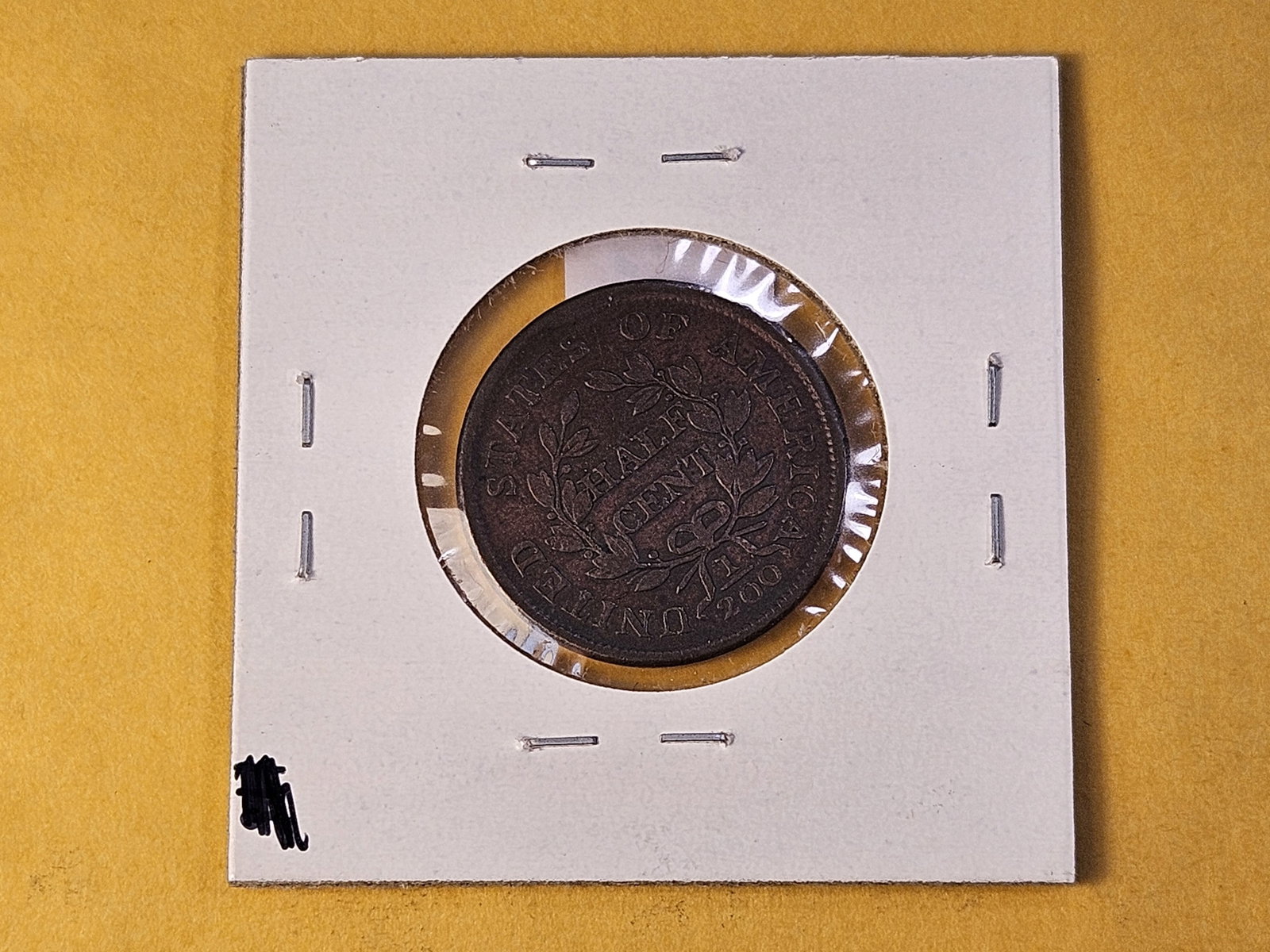 Better Grade 1804 Braided Hair Half Cent - 4