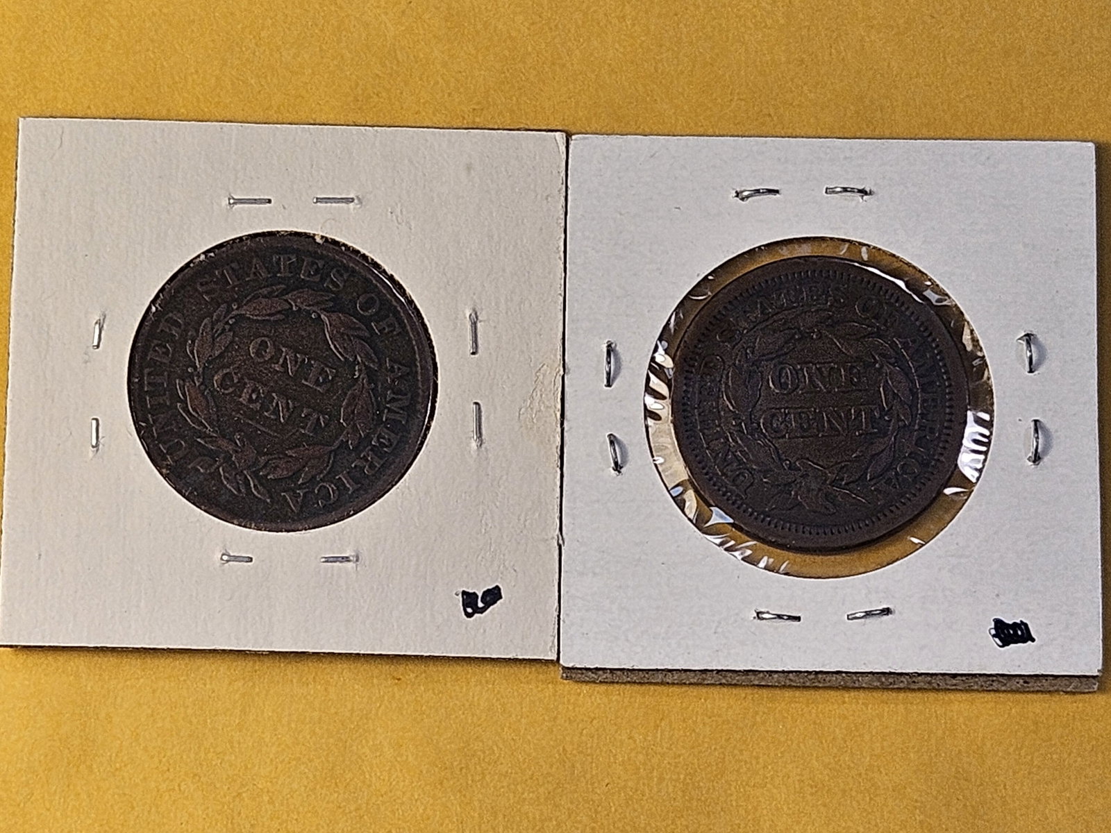 Two Circulated US Large Cents - 4