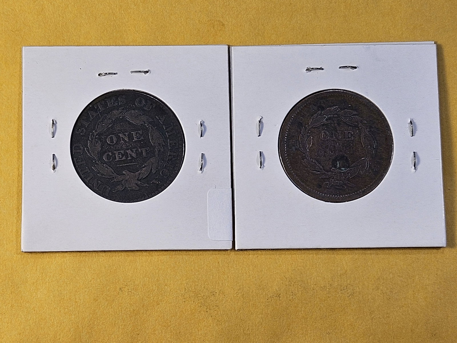 Two Circulated US Large Cents - 4