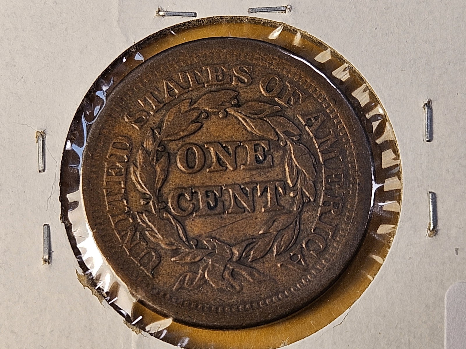 Better Grade 1851 Braided Hair Large Cent - 4