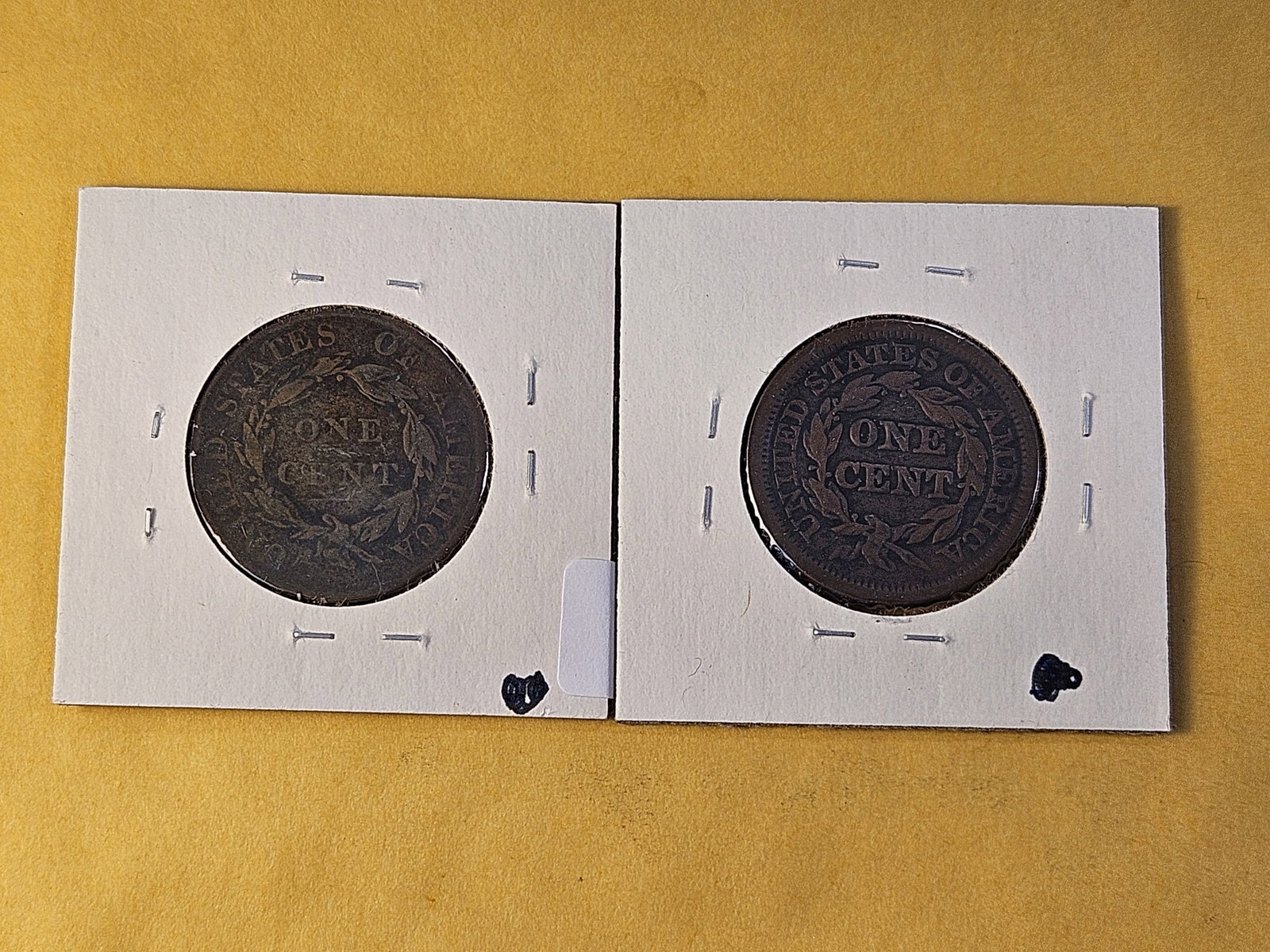 Two Circulated US Large Cents - 4
