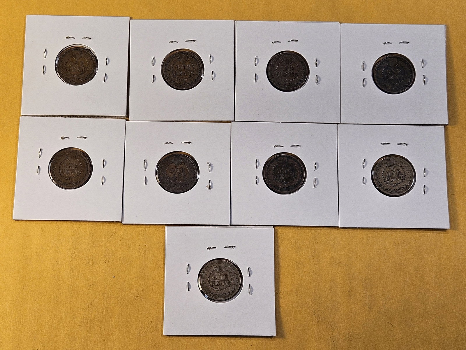 Nine Circulated Indian Head Cents - 7